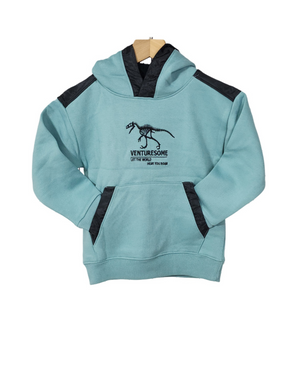 Breakout Kids / Boys Winter embroidered Hoodie/Upper Cotton Fleece Knit Light Sea Green Color Dinosaur Design